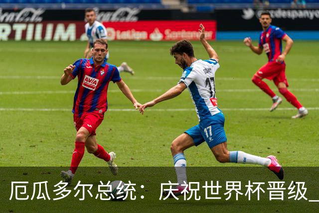 厄瓜多尔总统：庆祝世界杯晋级 全国放假一天
